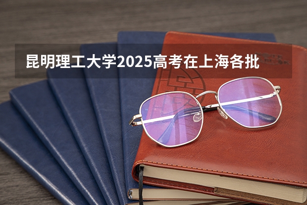 昆明理工大学2025高考在上海各批次选科要求如何