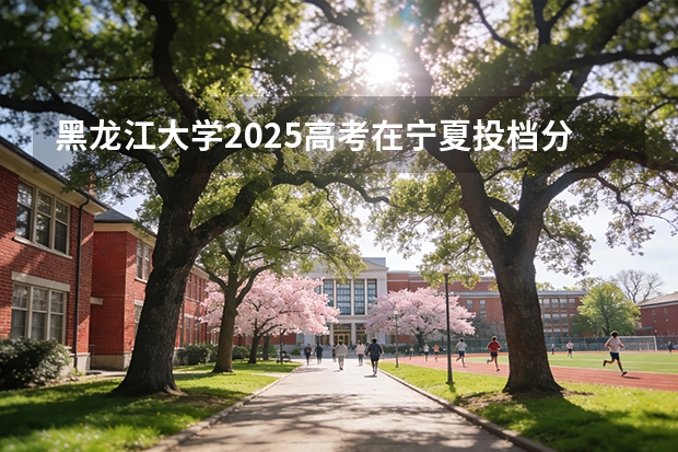 黑龙江大学2025高考在宁夏投档分数线