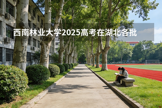 西南林业大学2025高考在湖北各批次选科要求如何