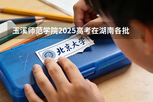 玉溪师范学院2025高考在湖南各批次选科要求如何