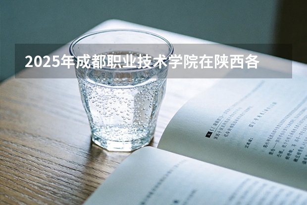 2025年成都职业技术学院在陕西各专业都招多少人（2026参考）