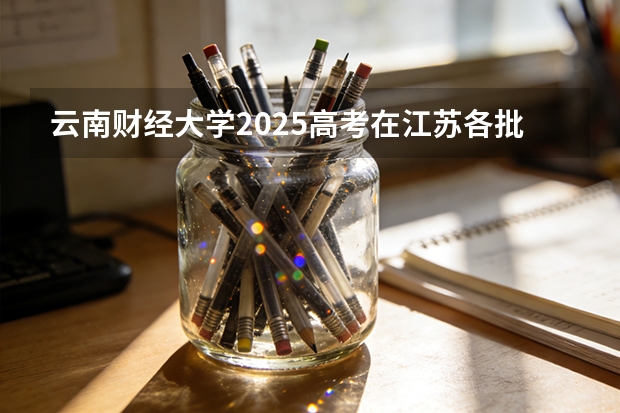 云南财经大学2025高考在江苏各批次选科要求如何