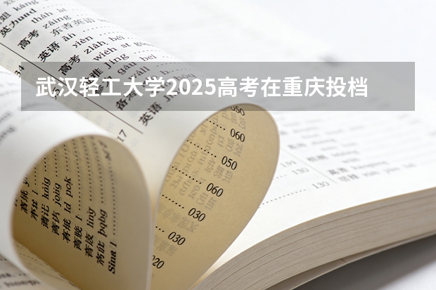 武汉轻工大学2025高考在重庆投档分数线