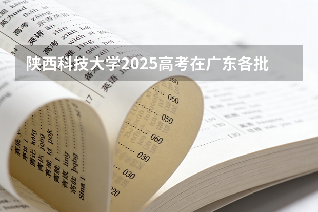 陕西科技大学2025高考在广东各批次选科要求如何