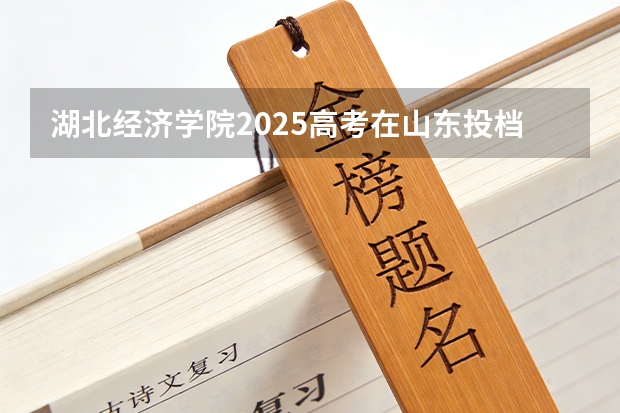 湖北经济学院2025高考在山东投档分数线