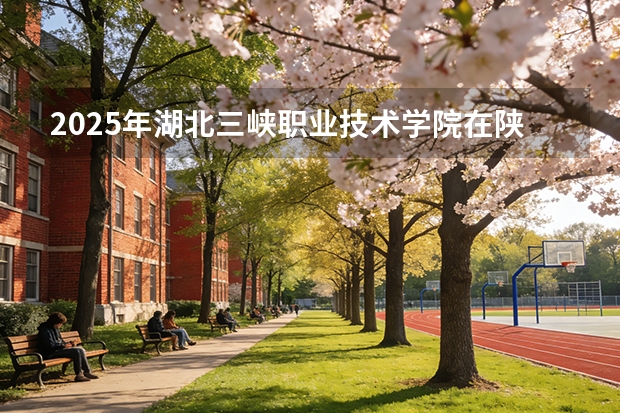2025年湖北三峡职业技术学院在陕西各专业都招多少人（2026参考）