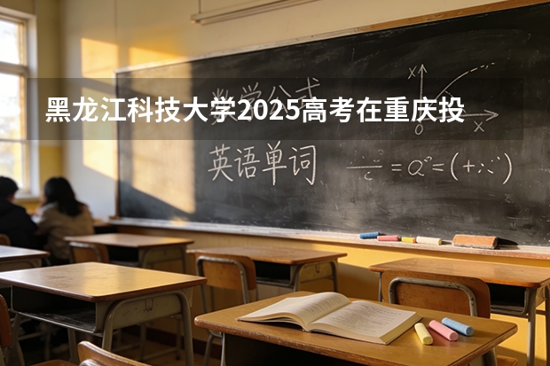 黑龙江科技大学2025高考在重庆投档分数线