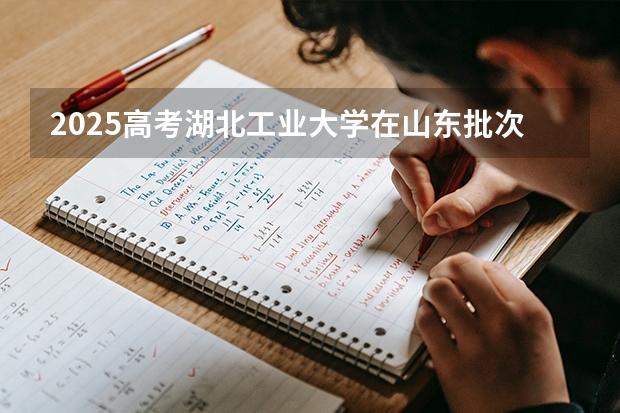 2025高考湖北工业大学在山东批次选科要求有哪些