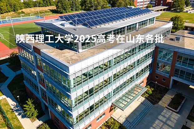 陕西理工大学2025高考在山东各批次选科要求如何