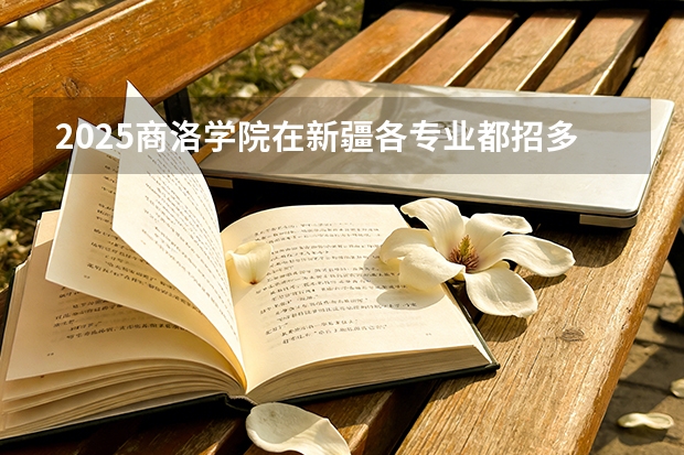 2025商洛学院在新疆各专业都招多少人（2026参考）