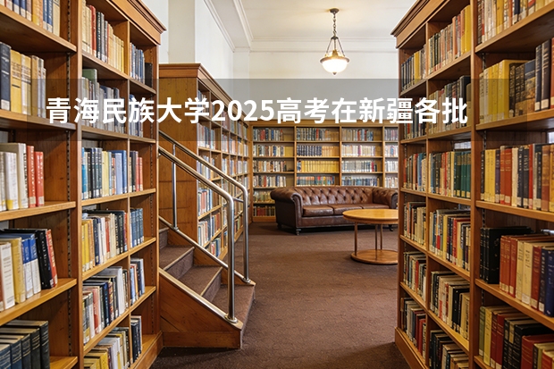 青海民族大学2025高考在新疆各批次选科要求如何