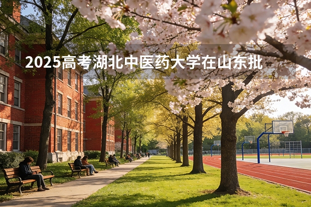 2025高考湖北中医药大学在山东批次选科要求有哪些