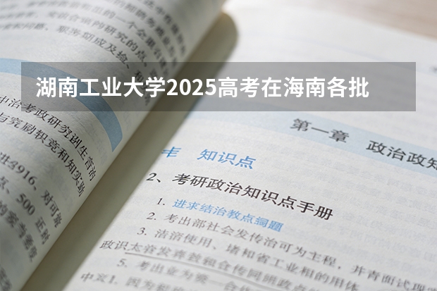 湖南工业大学2025高考在海南各批次选科要求如何
