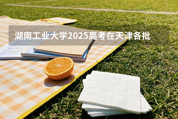 湖南工业大学2025高考在天津各批次选科要求如何