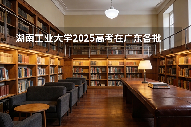 湖南工业大学2025高考在广东各批次选科要求如何