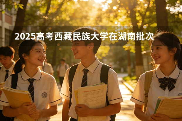 2025高考西藏民族大学在湖南批次选科要求有哪些