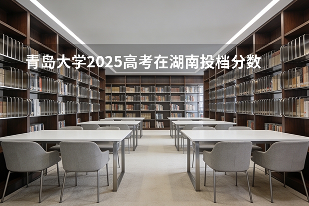 青岛大学2025高考在湖南投档分数线