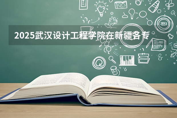 2025武汉设计工程学院在新疆各专业都招多少人（2026参考）