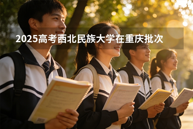 2025高考西北民族大学在重庆批次选科要求有哪些
