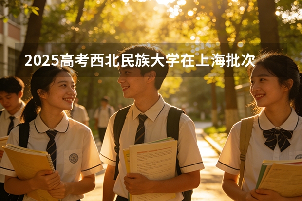 2025高考西北民族大学在上海批次选科要求有哪些
