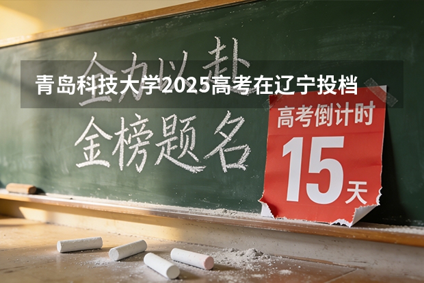 青岛科技大学2025高考在辽宁投档分数线