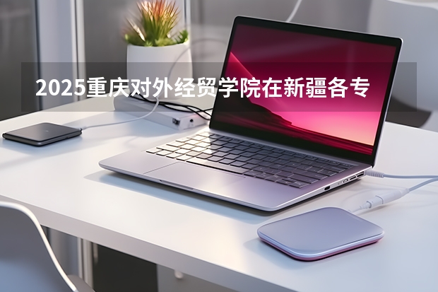 2025重庆对外经贸学院在新疆各专业都招多少人（2026参考）