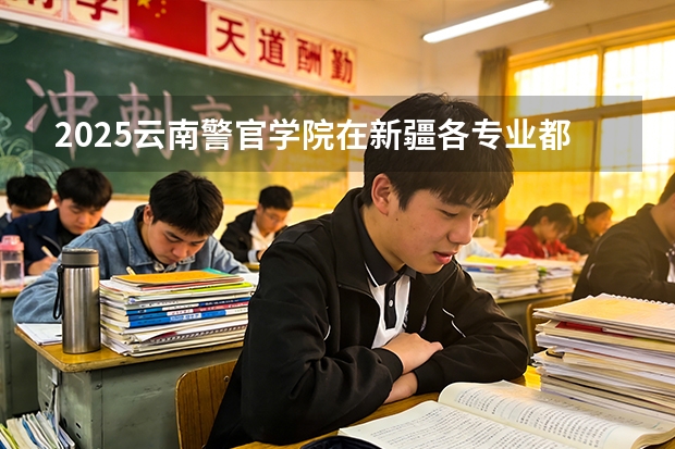 2025云南警官学院在新疆各专业都招多少人（2026参考）