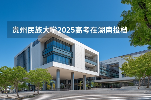 贵州民族大学2025高考在湖南投档分数线
