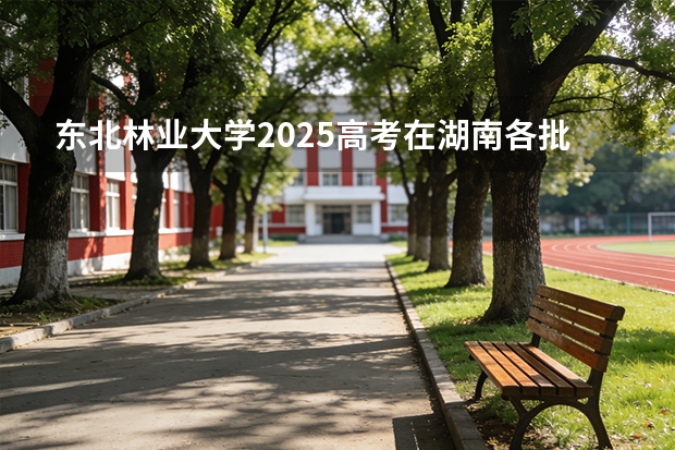 东北林业大学2025高考在湖南各批次选科要求如何