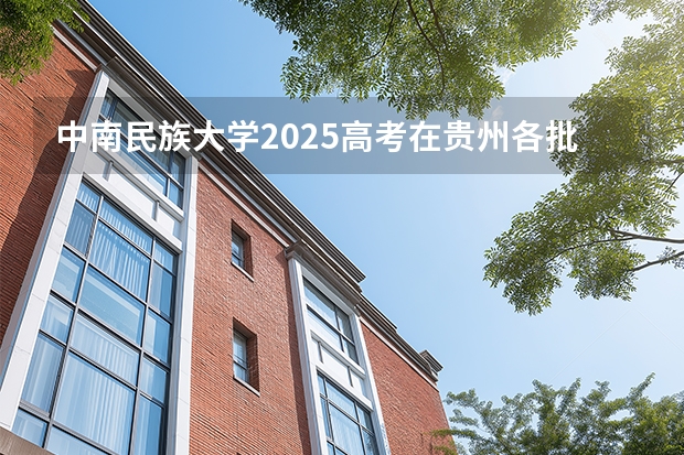 中南民族大学2025高考在贵州各批次选科要求如何