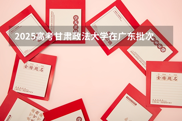 2025高考甘肃政法大学在广东批次选科要求有哪些