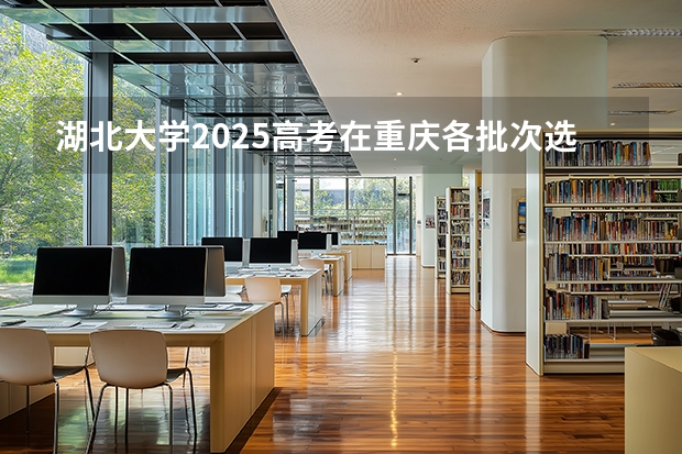 湖北大学2025高考在重庆各批次选科要求如何