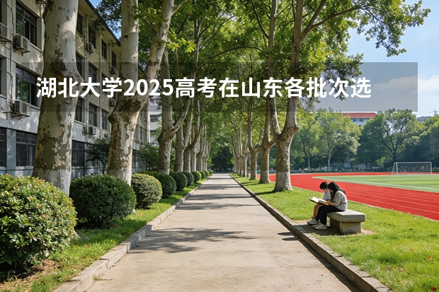 湖北大学2025高考在山东各批次选科要求如何