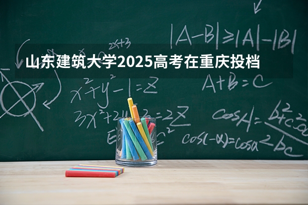 山东建筑大学2025高考在重庆投档分数线