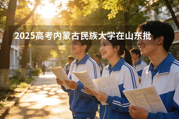 2025高考内蒙古民族大学在山东批次选科要求有哪些