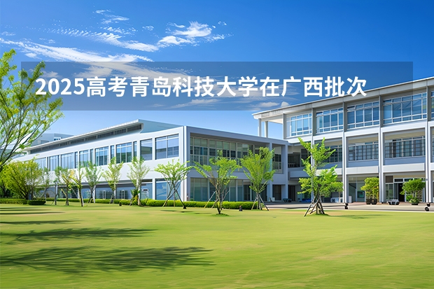 2025高考青岛科技大学在广西批次选科要求有哪些