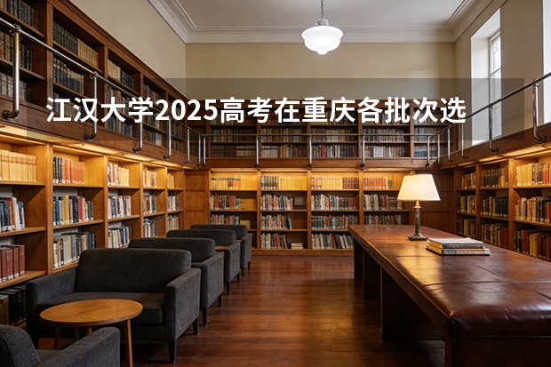 江汉大学2025高考在重庆各批次选科要求如何