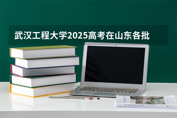 武汉工程大学2025高考在山东各批次选科要求如何