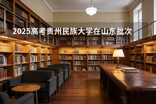 2025高考贵州民族大学在山东批次选科要求有哪些