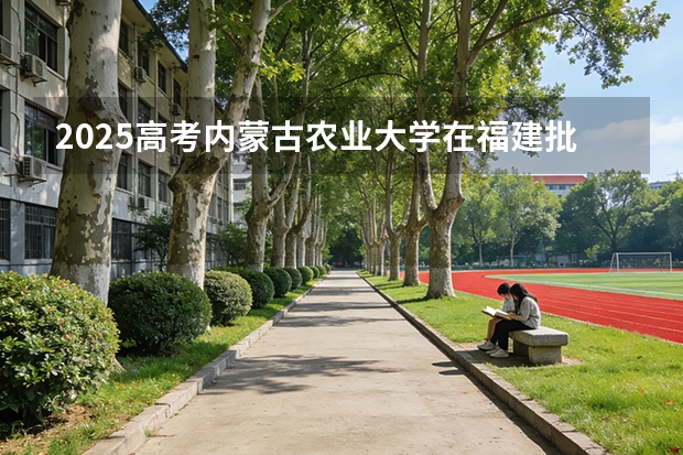2025高考内蒙古农业大学在福建批次选科要求有哪些
