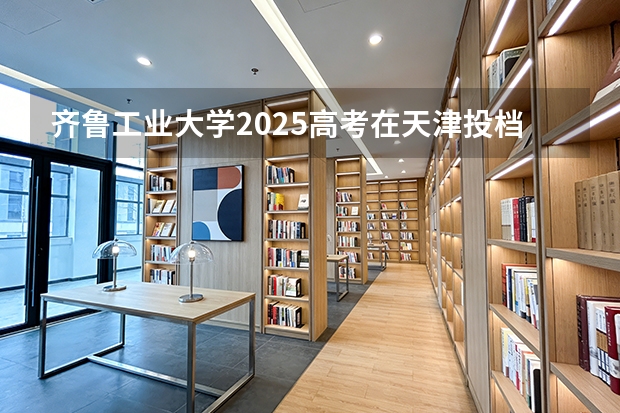 齐鲁工业大学2025高考在天津投档分数线