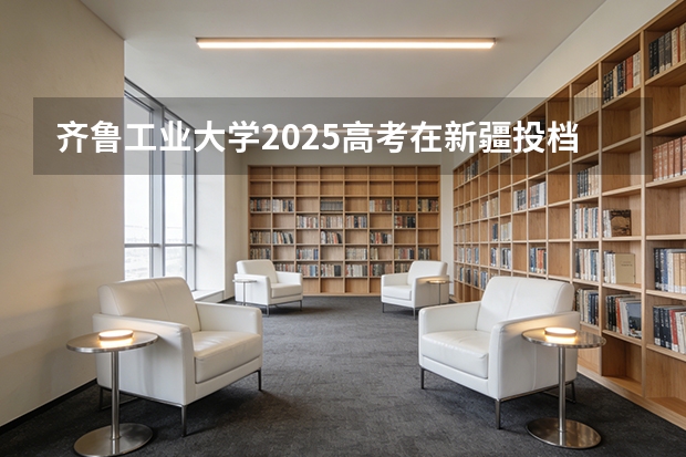 齐鲁工业大学2025高考在新疆投档分数线