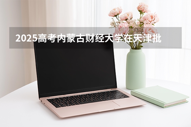 2025高考内蒙古财经大学在天津批次选科要求有哪些
