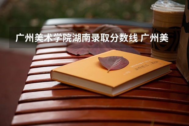 广州美术学院湖南录取分数线 广州美术学院湖南招生人数多少