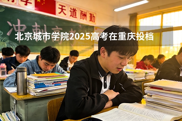 北京城市学院2025高考在重庆投档分数线