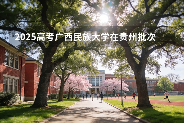 2025高考广西民族大学在贵州批次选科要求有哪些