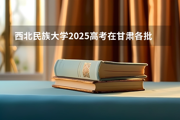 西北民族大学2025高考在甘肃各批次选科要求如何