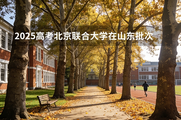 2025高考北京联合大学在山东批次选科要求有哪些