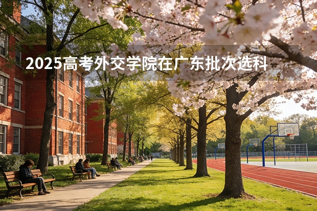 2025高考外交学院在广东批次选科要求有哪些
