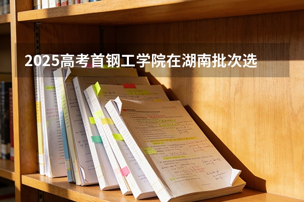 2025高考首钢工学院在湖南批次选科要求有哪些